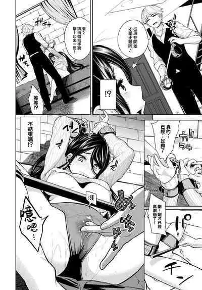 Toaru fufu no seijijo