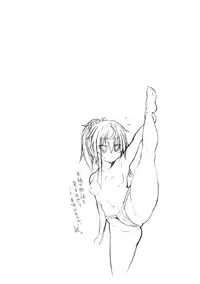 [NO.Gomes] Shino Taima Kenshi no Shitsukekata [Digital]