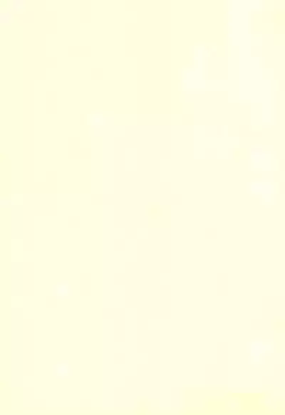 Mahou Shoujo wa Sainan nano