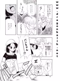 [Shouji Hariko] ZZ (Dragonball Z)