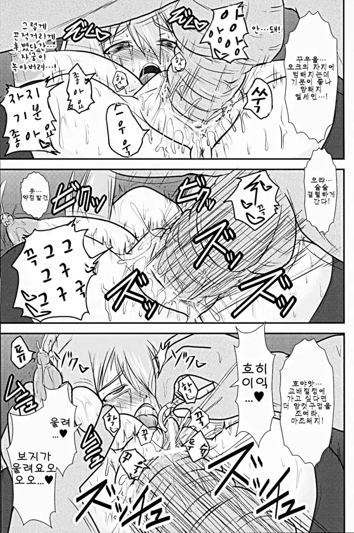 Shield Knight Elsain Vol. 9 SLAVE COLOSSEUM