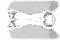 [pink-noise (Mizuiro Megane)] Mama Shot-ime Outdoor Hen