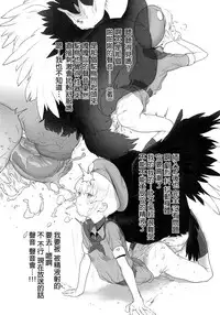 (SC2018 Autumn) [zero-sen (xxzero)] Tori no Kimochi Ii [Chinese] [沒有漢化]