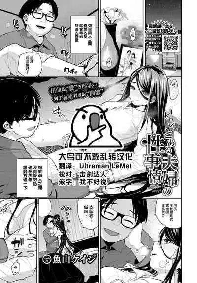 Toaru fufu no seijijo