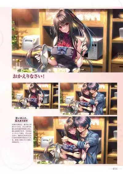 Amakano 2+ Visual Fan Book