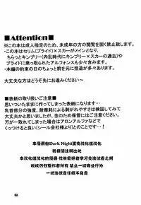 (C82) [Huujin (Shoshinsha Man)] Scar o Hazukashime Taosu Hon (Fullmetal Alchemist) [Chinese] [黑夜汉化组]