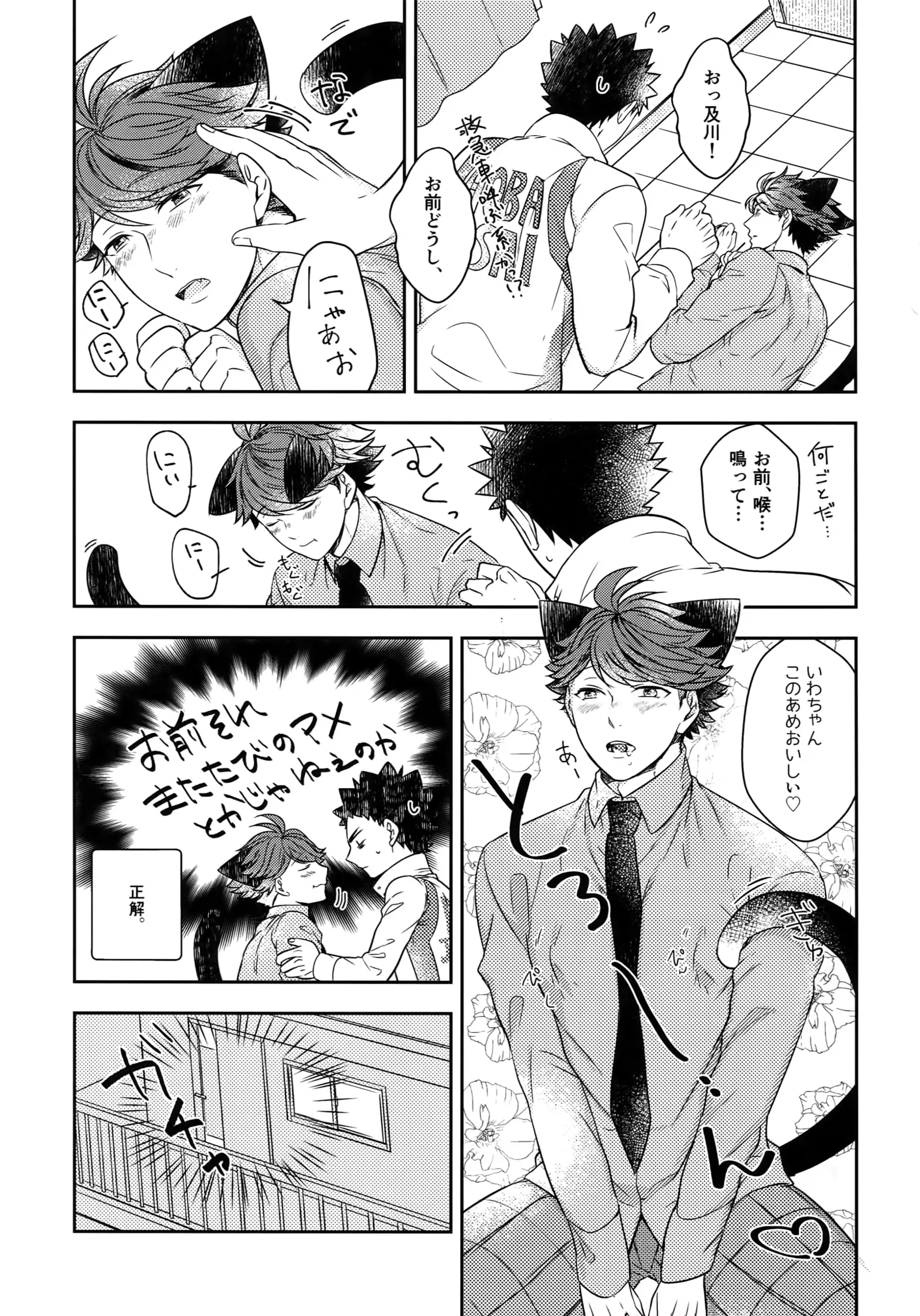 Iwachan no Neko ni Naritai Sairoku-Shuu