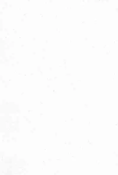 (SC19) [Shoryutei (Shoryutei Enraku)] Re: Shoryutei Light 2