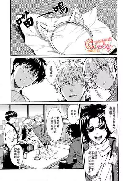 (HaruCC19) [3745HOUSE (MIkami Takeru)] Like cat and dog (Gintama) [Chinese] [糖分漢化組]