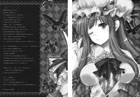 (C79) [Alemateorema (Kobayashi Youkoh)] GARIGARI 30 (Touhou Project)