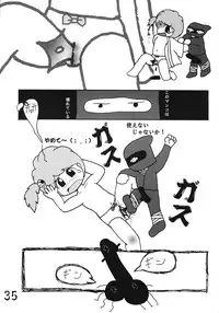 Tsurupeta Kenkyuusho Houkokusho