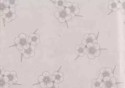 史上名妓 风尘侠女-小凤仙（辜国兴 2013年11月）