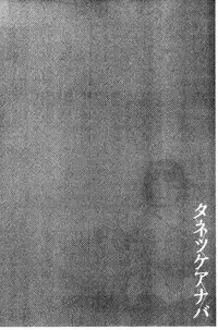 [kiasa] Tanetsukeanaba [Chinese]