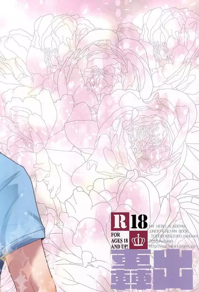 Koe ga Kikoeru Hikari no Hou e