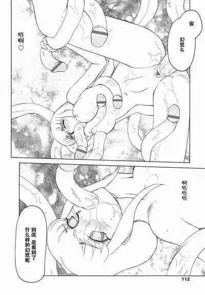 Kamen no Kishi Orleana Kouhen