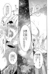 (SC61) [Toko-ya (HEIZO & Kitoen)] Saint Foire Festival 10 Matty