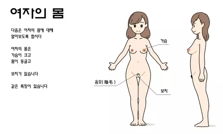 Watashitachi no Karada ~Kodomo ga Dekirushikumi~