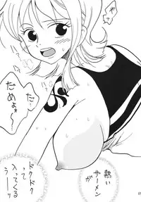 [Ginmomodou (Mita Satomi)] Koukai Nisshi DX (One Piece) [Digital]