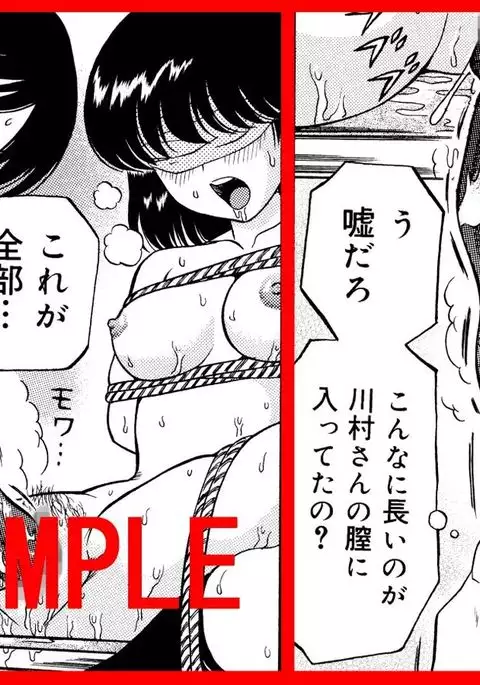 Kousoku Nawa de Shibarare Mekakushi sareta Classmate