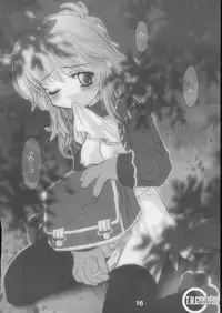 [S-FORCE (Raina, Ryouta, Serebi Ryousangata)] Daiseiten (Ragnarok Online)