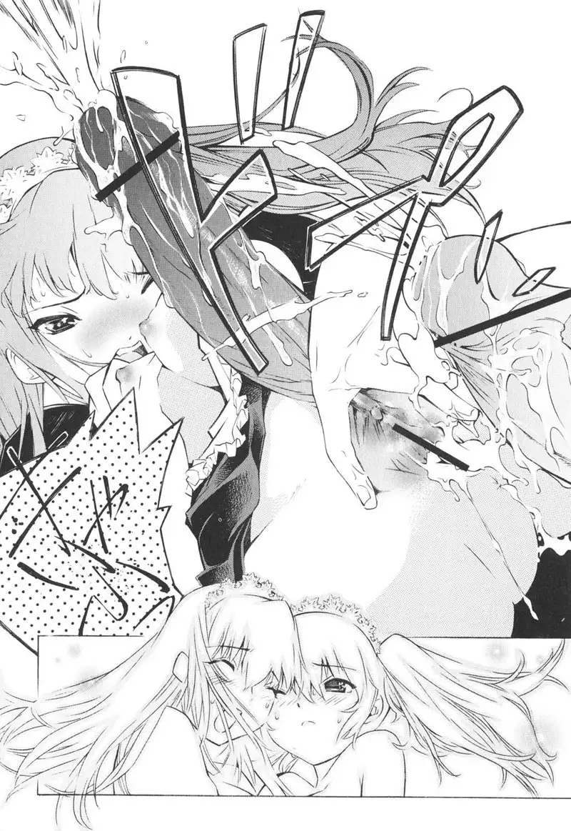 Together With Poko5 - Strawberry Cats