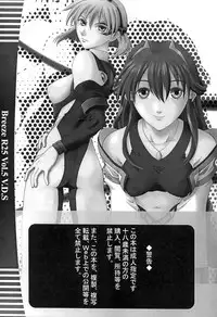 (C61) [BREEZE (Haioku)] R25 Vol.5 V.D.S (Vandread)