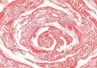 [Matsumoto Jiro] Wendy (English)