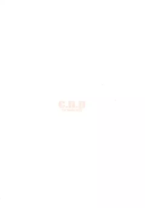 China no Dainiji Seichou-ki