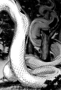 [Jyoka] Hachishaku Hachiwa Keraku Meguri - Igyou Kaikitan Ch. 1-4 [English] [Mongolfier]