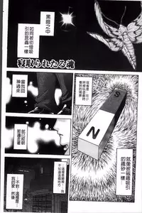 [Hino Toshiyuki] Injukujo Niku Zanmai [Chinese]