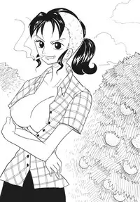 [Ginmomodou (Mita Satomi)] Koukai Nisshi DX (One Piece) [Digital]