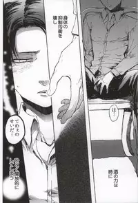 (C86) [Onjire (Tamy)] ONGRE2013 (Shingeki no Kyojin)