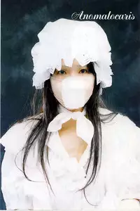 [Mukade Melibe] Baajesu no Otome-tachi Waiwakushia no Akira