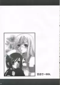 [Neko to Hato] Sensei no Okiniiri Kanzenban (Summon Night 3)