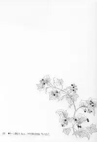 (C63) [WARP LOOP (Hinako Satomi)] LOVE or LIKE (Mizuiro)