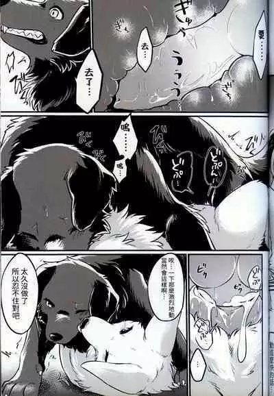 Hakoniwa Jealousy | 箱庭之妒