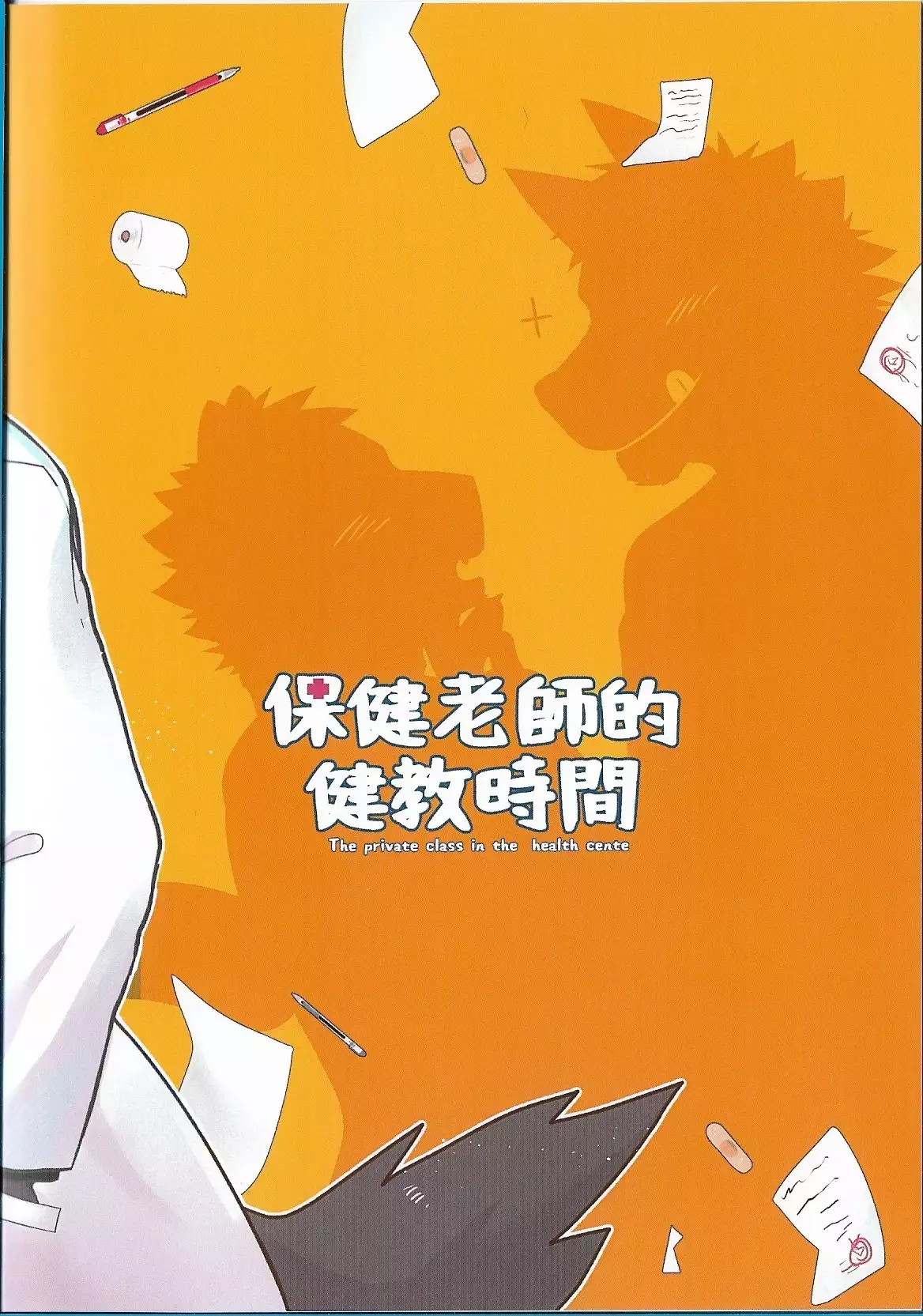 The Private Class in the Health Centre