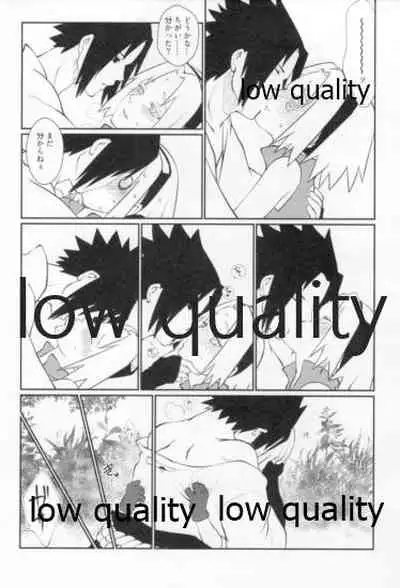 (Zennin Shuuketsu 12) [Ukiseikou (Yamadon)] Time Travel Honeymoon 2 (Naruto)