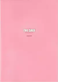 (CR37) [R-WORKS (ROS)] THE SAGE (Fate/stay night)