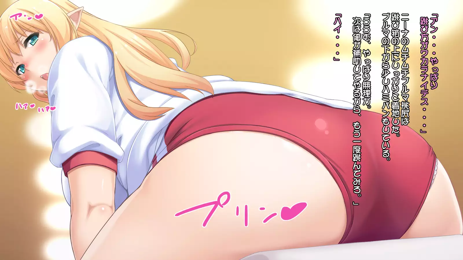 Junshin na Elf no Ryuugakusei ni Anal Choukyo shiyo！