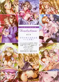 COMIC Megastore H 2009-01