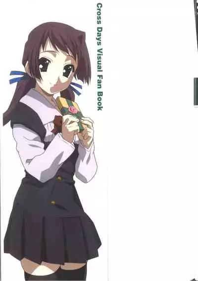 Cross Days Visual Fan Book