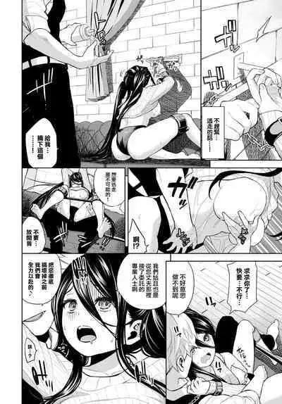 Toaru fufu no seijijo