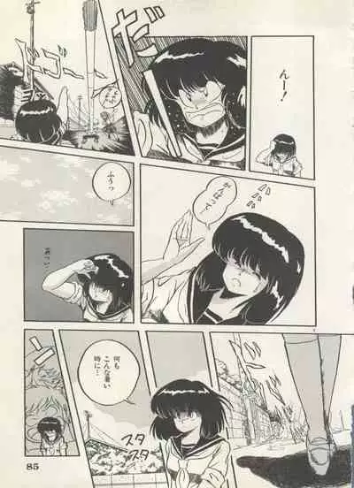 Bishoujo Shoukougun 6