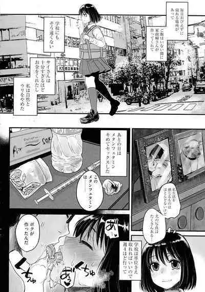 Subetega Mesu ni Naru