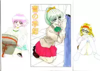 [Miyamoto Rumi] Tsubomi no Kisetsu