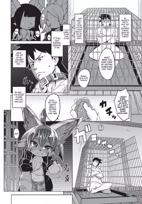 Tadashii Neko no Kawa Rekata