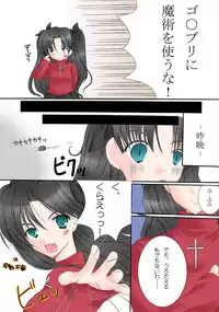 [Hanakairou] Slight fever (Fate/stay night) [Digital]