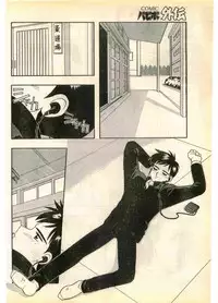 COMIC Papipo Gaiden 1995-11 Vol.17