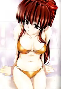 [Urushihara Satoshi] Urushihara Satoshi Illustration Shuu Phi